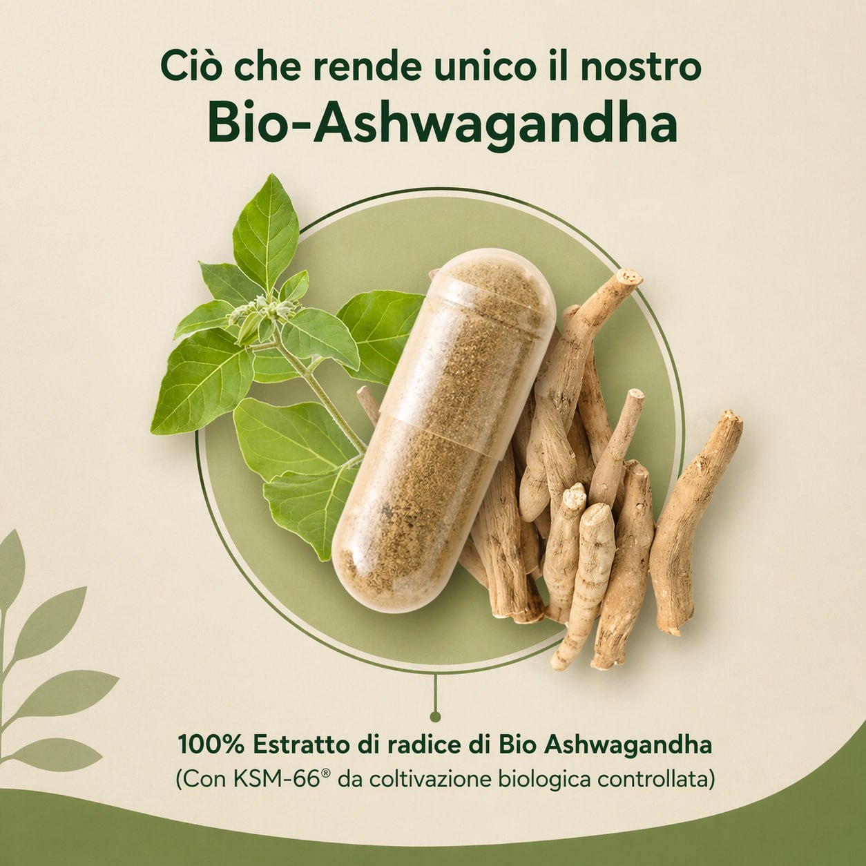 Ashwagandha Vita Italy